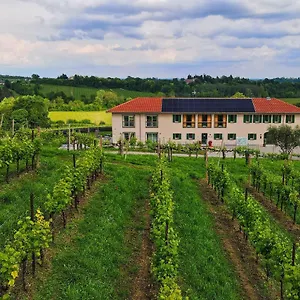 Tenuta Mani Sagge Vakantieboerderij San Pietro Di Feletto