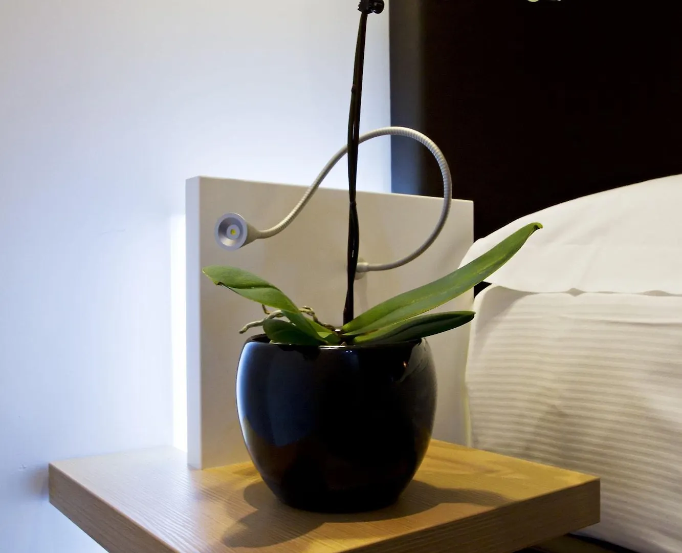 Hotel Gravina San Pietro Rom 3*,